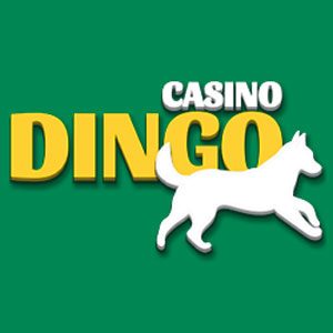 Casino Dingo No Deposit Bonus
