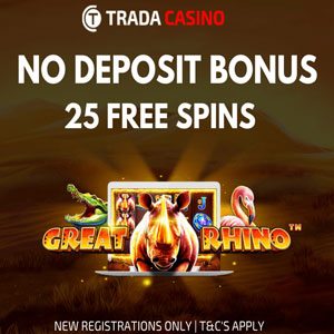 Free Spins No Deposit King Casino Bonus