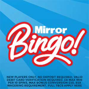 bingo fest casino no deposit bonus