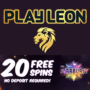 Bingo Casino No Deposit Bonus 2018