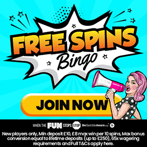 Free Spins Bingo bonus